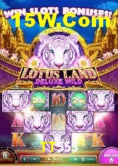 Provedores de Jogos TT555